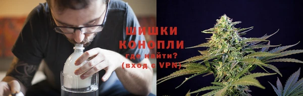 хмурый Павловск